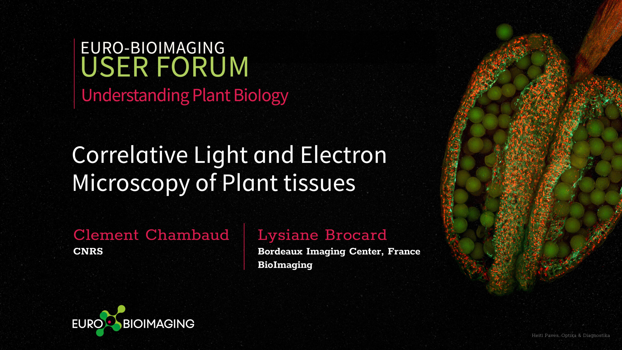 France BioImaging Euro-BioImaging User Forum on Plant Biology