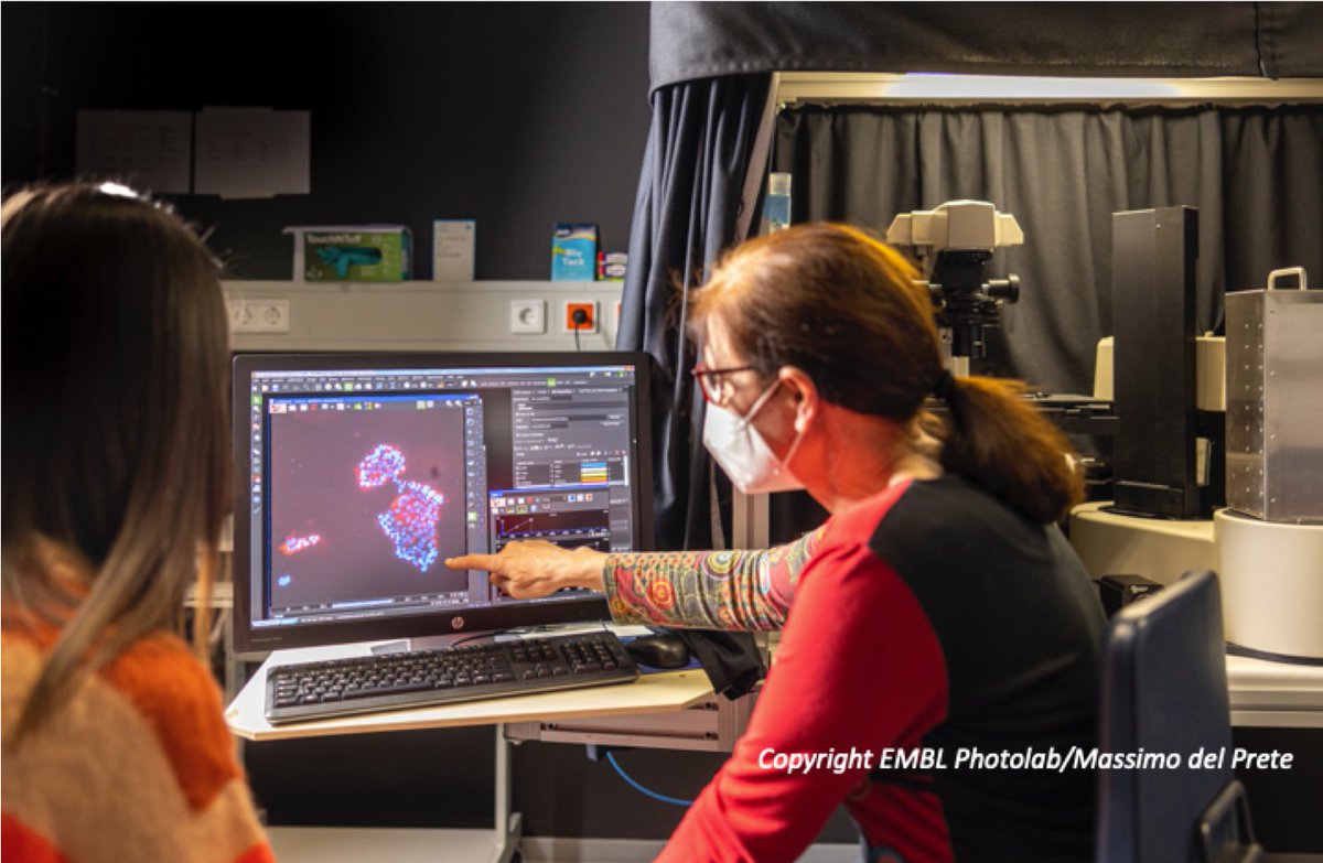 Figure 1: Chiara and Faba look at images acquired by using the high-throughput microscope at EMBL’s ALMF. Photo copyright EMBL PhotoLab/Massimo Del Prete.