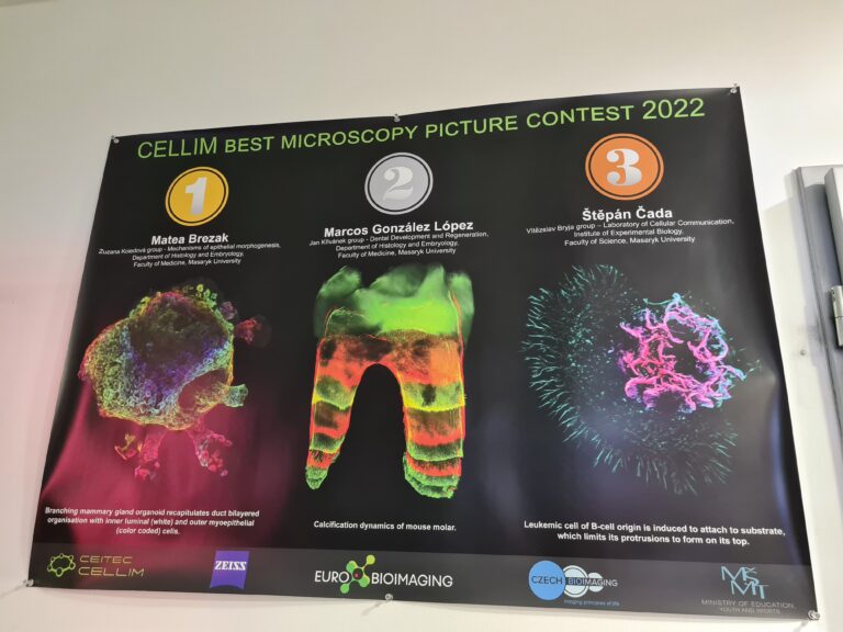 Poster of Image Contest Winners at CEITEC Cellim Imaging Facility