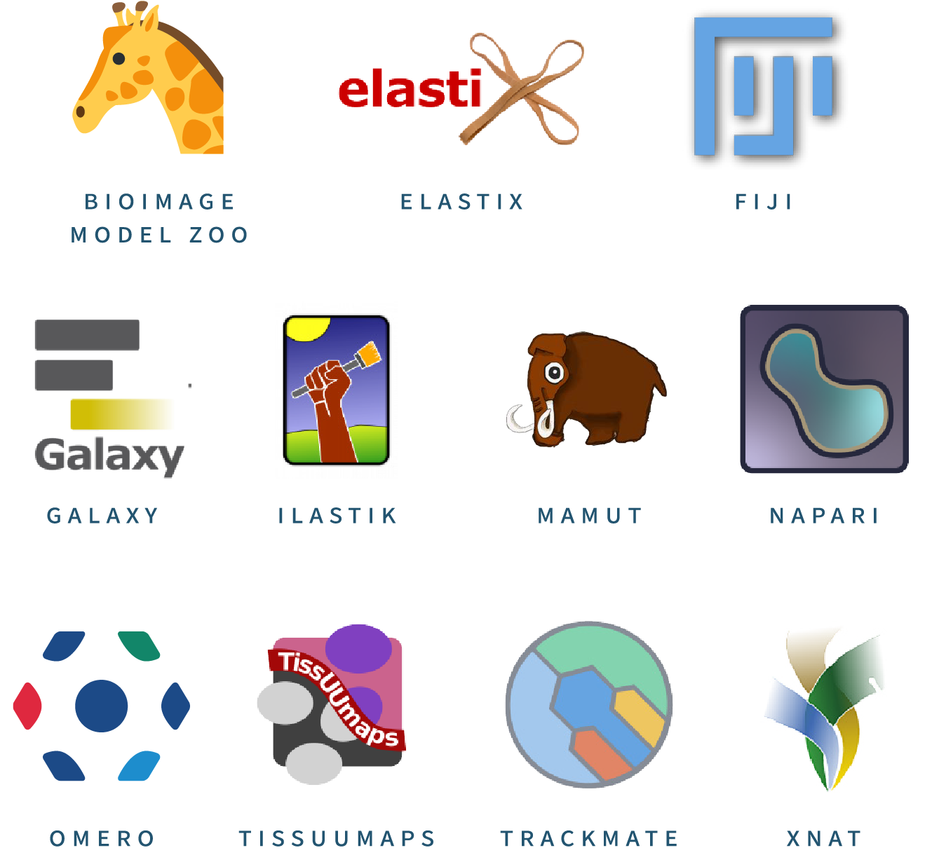 Data open tools logos (BioImage Model Zoo, Elastix, FIJI, Galaxy, Ilastik, Mamut, Napari, Omero, TissuuMaps, Trackmate, XNAT)
