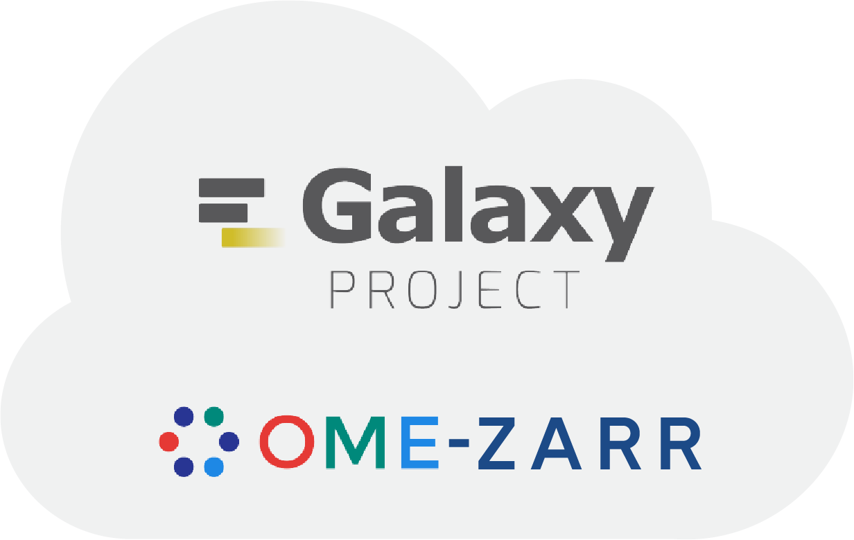 Data Technical Support logos (Galaxy Project and OME-ZARR)