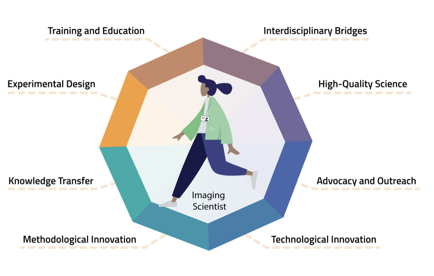 Schema from the Global BioImaging career path White Paper.