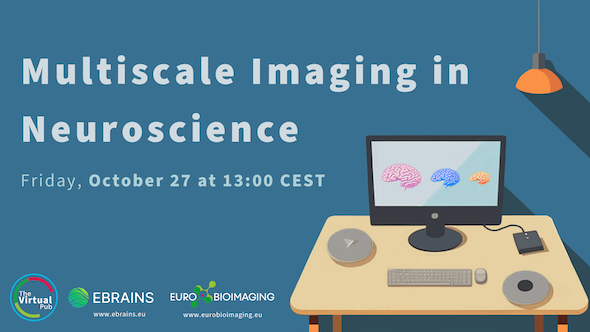 Poster for the Multiscale Imaging in Neuroscience event with EBRAINS