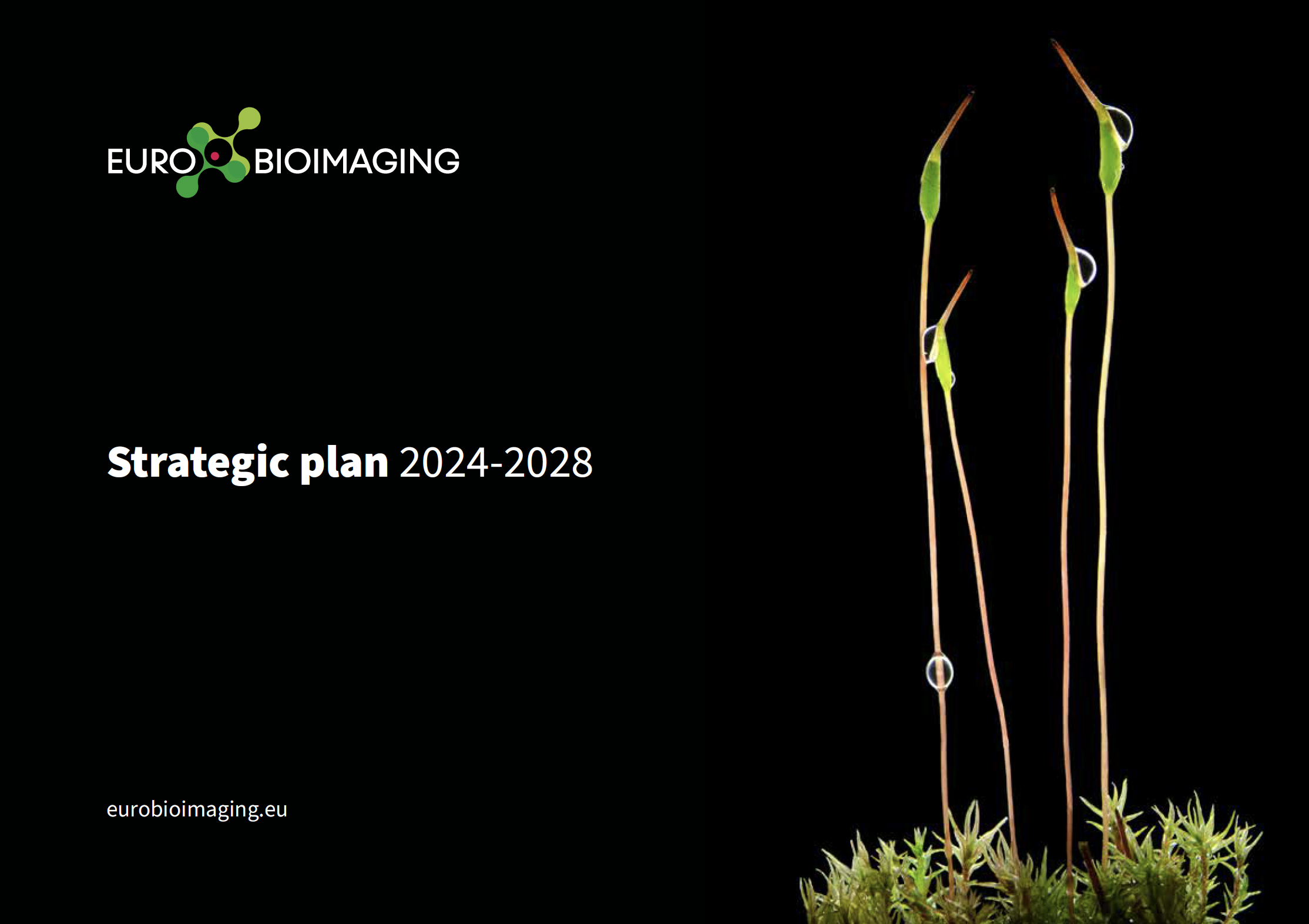 Euro-BioImaging Strategic Plan 2024-2028