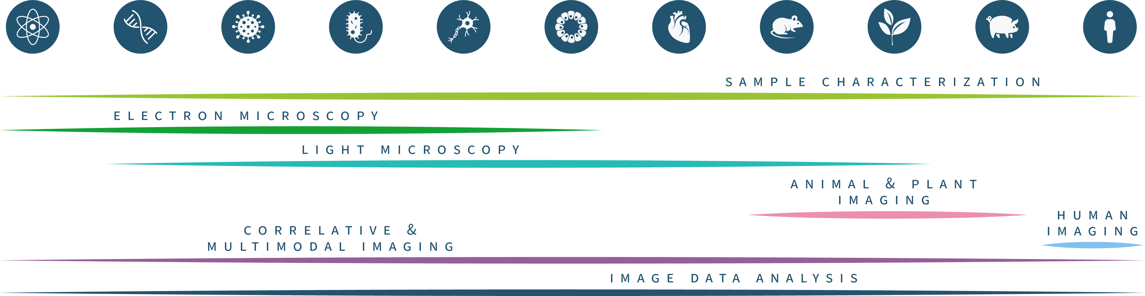 Euro-BioImaging technology portfolio