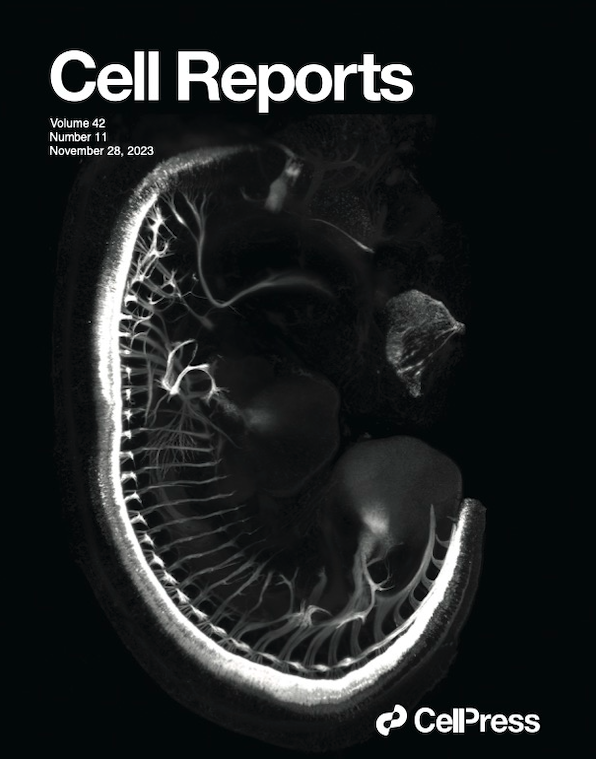 November 2023 cover of Cell Reports featuring imaging work done at Euro-BioImaging's Brno Node.