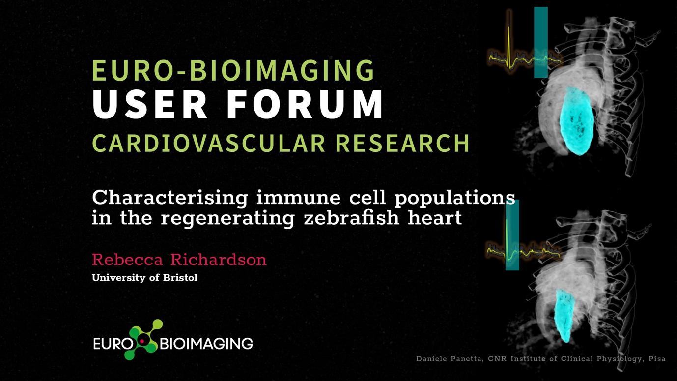 Euro-BioImaging User Forum: Cardiovascular Research