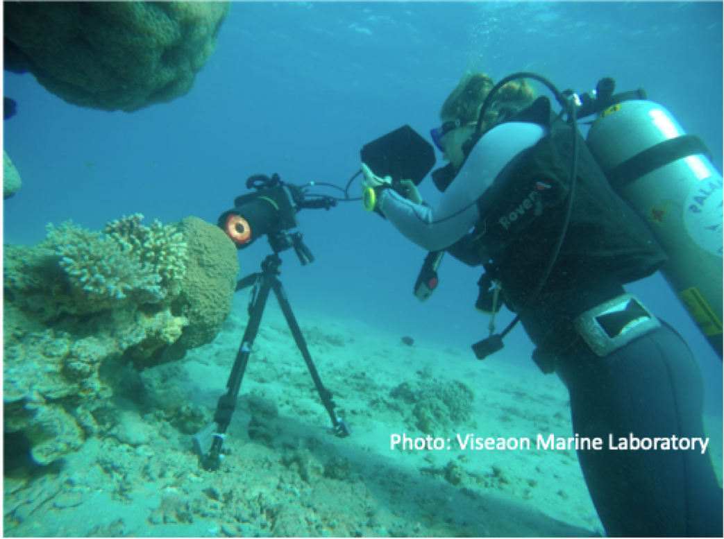 Underwater Microscopy at Israel BioImaging